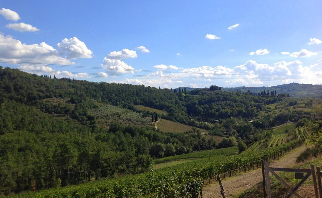 Agriturismo La Camporena Greve in Chianti Exterior photo